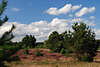 707401_ Behringerheide Naturbild, Heidelandschaft unter ziehenden Wolken in Naturfoto, Wolkenfoto Heideland