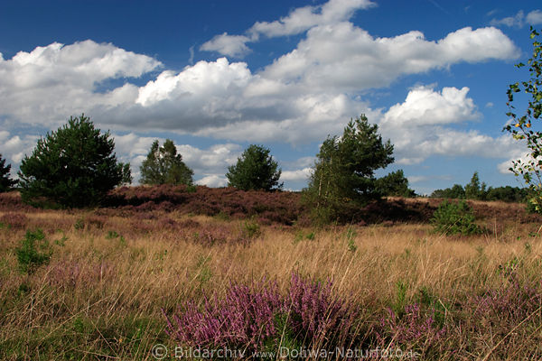 Heideland Wolkenstimmung