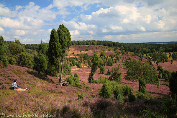 Totengrund Mann in blhender LneburgerHeide