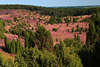 Heidelandschaft Totengrund Panorama Naturfoto violette Blütenflächen Grünbäume Naturbild