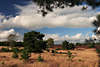 Wolken ber Heidelandschaft Heideland Wolkenstimmung ber Heidegrser & Bume in Wind Heidebild