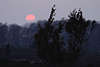 700531_ Sonne rote Kugel ber Heidegrser in Lneburger Heidelandschaft bei Sonnenuntergang Heidebild