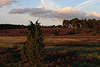 707538_ Heidelandschaft Natur Bild, Wolken ber Heideland, Wacholderheide nah Wulfsberg Abendstimmung