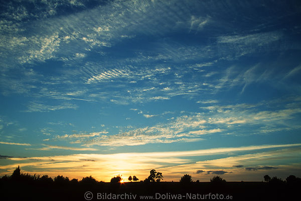 Silhouetten am Heide-Horizont Bild bei Sonnenuntergang unter blauen Nachthimmel in Dmmerung