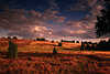 1091_Heidelandschaft Romantik Natur Bilder Wolken über rote Heidehügel bei Sonnenuntergang