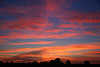 Heidelandschaft Rotwolken nach Sonnenuntergang Bäume Silhouetten am Blauhimmel