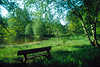 2370_Mai frisches Grün Foto: Frühlingsgefühle Naturidyll am Teich, Bank unter Birke Frühjahr Naturbild
