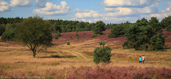 LneburgerHeide Walker Naturpanorama