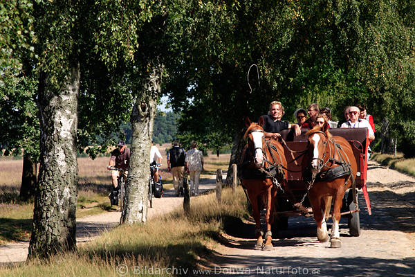 Kutschfahrt in die Heide