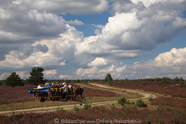 Pferdekutsche unter Wolken Moor Wanderweg-Kurve in Naturlandschaft