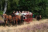 58354_Pferdekutschen Bild in Lüneburgerheide Natur, Senioren Urlaub Ausflug Kutschfahrt Foto auf Sandweg