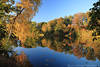 Brunausee Herbststimmung Naturfotos Wasserlandschaft LüneburgerHeide Uferbäume Goldfarben