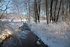 Winterufer Brunau Wasserfluss Ufergräser in Schneefrost Kälte Stimmung Bäume Landschaft Naturfoto