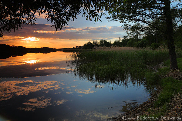 HessenSee Ufer Sonnenuntergang Naturbild Wasserlandschaft Masuren Ostpreussen in Abendlicht