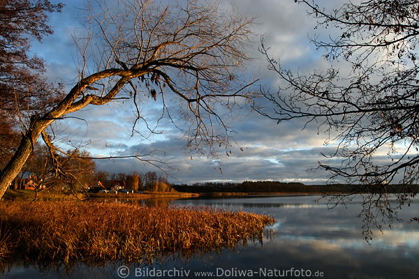 Morgensonne Rotlicht Stimmung in Rodenau Masuren Herbst am Wasser Bume Schilfufer Krsten See in Kozin Sonnenaufgang jezioro Jagodne Mazury