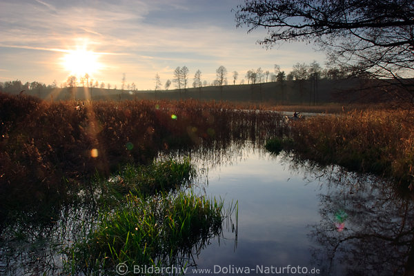 Masuren-See-Sonnenuntergang Naturfoto Schilf Wasser Abendlicht bei Pogatnen / Przykop Mazury krajobraz