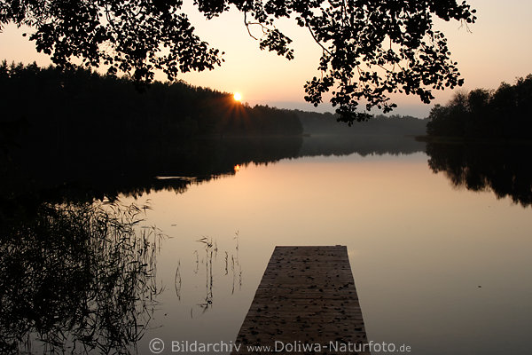 Grner See Naturfotos Masurens Landschaft Romantik Sonnenuntergang stille Seetafel in Bumen
