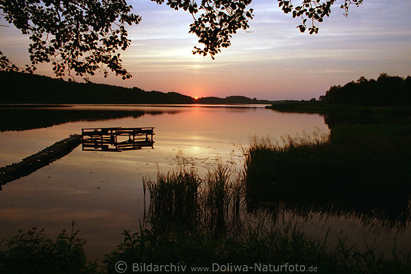Holzsteg in Masuren See Naturfoto Sonnenuntergang Abendstimmung ber Wojnowosee (Hessen See)