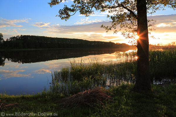 MasurenSee Sonnenuntergang Romantik Wasserufer Landschaft Abendstimmung Naturbild