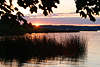 Masuren Seeufer Sonnenuntergang Schilfgras in Wasser Löwentinsee-Naturfoto Mazury fotografia