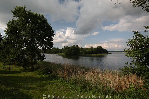Masuren Gablick See Inselblick Ufer Landschaft Natur Stimmung Mazury Ostpreussen