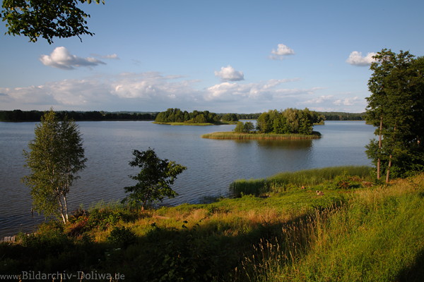 Masuren Gross Gablick See-Panorama Wasser Inseln Landschaft Hochufer Ostpreussen Mazury