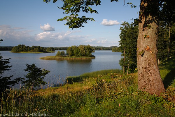 Masuren Gablicksee-Hochufer Inseln Wasserlandschaft Baum-Naturpanorama Mazuryfoto