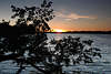 109933_Masuren Wasserlandschaft Naturbild: Baum im Wasser Haarschen-See abends Sonnenuntergang Blick