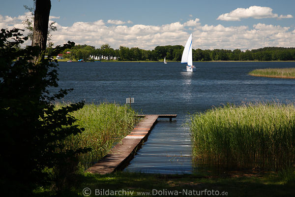 Masuren Kissain-See Landschaft Wassersteg Schilfufer Blick zum Segelboot in See-Panorama Ostpreussen Mazury Halbinsel Maly Ostrw 