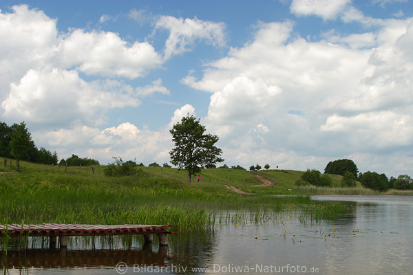 Masuren BuwelnoSee-Landschaft Naturstrand in Mazury Marcinowa-Wola Ostpreussen Martinshagen