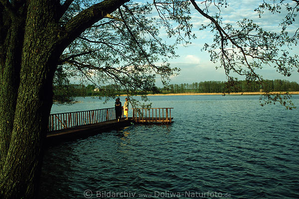 Mole Holzsteg Buwellno-See Wasser Landschaft Masuren Seeblick unter Baum-Zweigen 