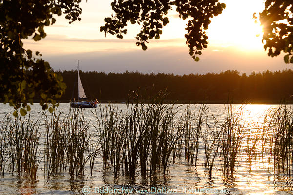 Masuren Sonnenuntergang Segler Boot in Naturstimmung Jagodne See Schilf Naturfoto Mazury jezioro