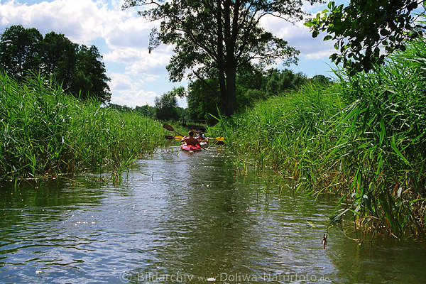 Paddelboote in Masuren schmalen Wasserkanal bewachsene Schilfufer Landschaft Buwelno-Ubliksee Mazury kajaki wycieczka