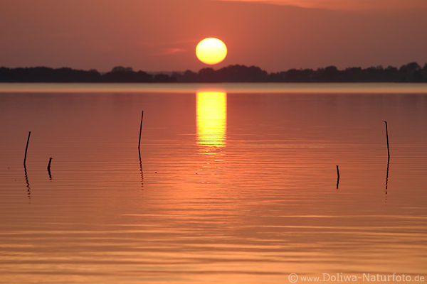 Sonnenball über Rotwasser Schwenzait-See in Masuren Ogonki Romantik-Naturschauspiel