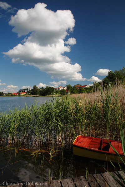 Wydminy Mazury Landschaft Widminnen Dorfblick ber Boot im Schilf Seestimmung