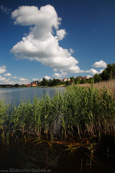 Widminnen See Masuren Dorfblick Schilf Wasserlandschaft Wolkenstimmung 