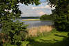 Masuren Gablick-See Grünufer Insel Schilf Bäume Wasserlandschaft Naturfoto Mazury jezioro Gawlik