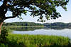 Masuren See-Landschaft Wasser-Flora grüne Ufer Naturidylle Panorama unterm Baum in Ostpreussen Mazury wodna natura jezior