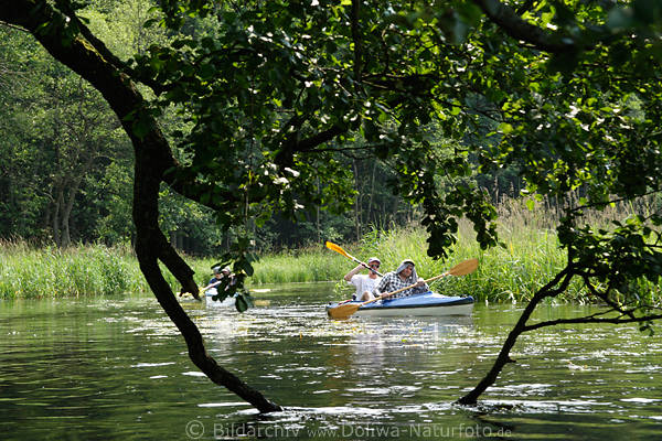 Kruttinna Baumste urige Landschaft Kajakwanderer Paddelboot im Wasser-Dschungel Kruttinnen in Masurens