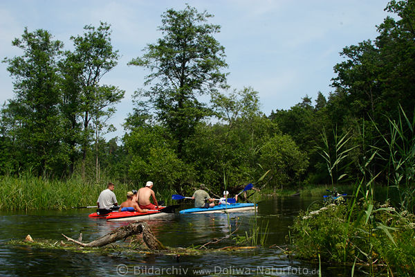 Kajaks auf Krutynia Fluss Kruttinnen Kajakwandern in Masuren Natur Wasserlandschaft