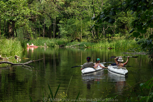 Kruttinnen Kajaks Kanuwandern in Masuren Wasserdschungel Krutynia Fluss