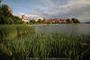 1204384_Lyck Seeufer Skyline Bild Masuren Stadt Wasserlandschaft Schilf Bucht Panorama Reisefoto