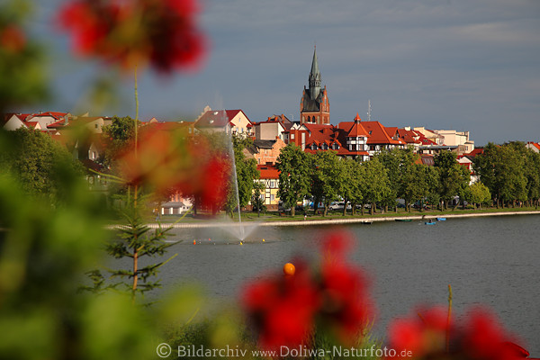 Lyck (Elk) See Wasser Panorama Masuren-Landschaft rote Hausdcher durch Blumen