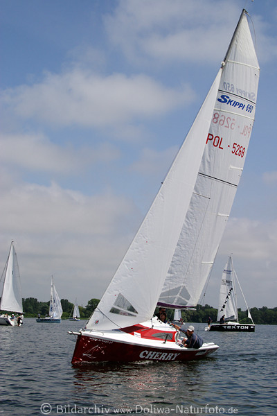 Segler Boote Masuren-Tour auf Lwentinsee (Niegocin) Wasser Wind segeln in Mazury
