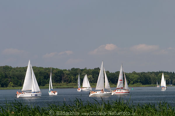Niegocin Lwentin See Wasser Jachten Boote Landschaft Masurens Segler Urlaub Naturidylle Ostpreussen Mazury zagle urlop