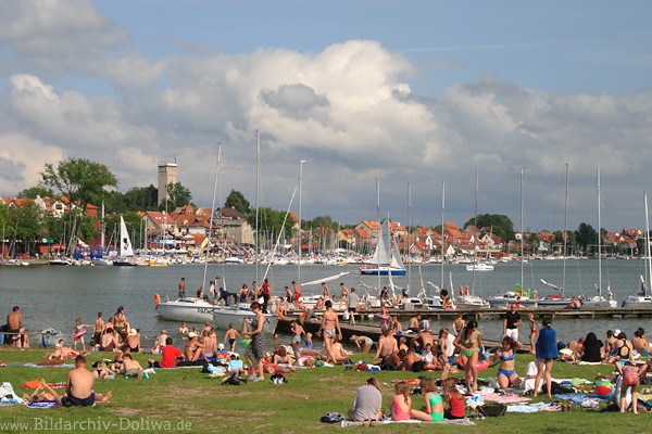 Masuren Badestrand Nikolaikensee Uferwiese