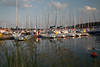 Nikolaiken Seglerhafen Boote See Port in Masuren Foto 1302299 Jachtmaste in Abendlicht