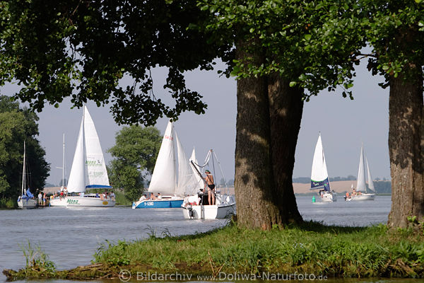 Segelboote in Masuren See-Landschaft Rotwalde (Rydzewen) Löwentin - Boczne See Wasser-Panorama