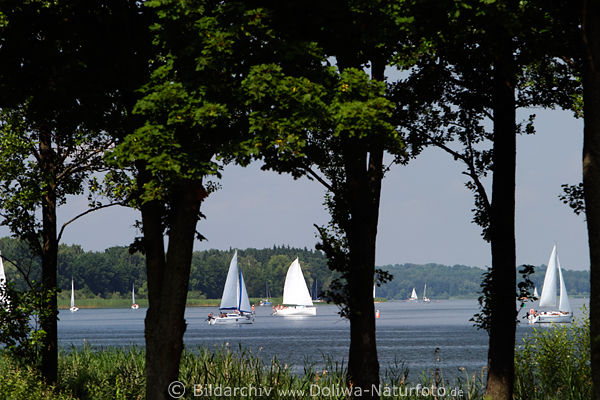 Segelboote auf Lwentin See Wasser durch Bume Masuren Landschaft Segler Yachturlaub