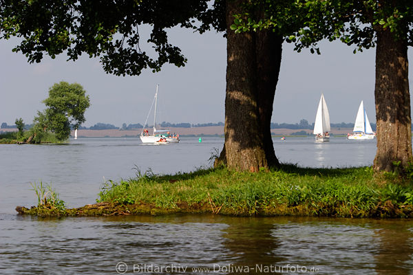 Masuren See-Landschaft Blick durch Baumstmme auf Landzipfel Rotwalde Segelboote in Wasser Panorama Mazury krajobraz